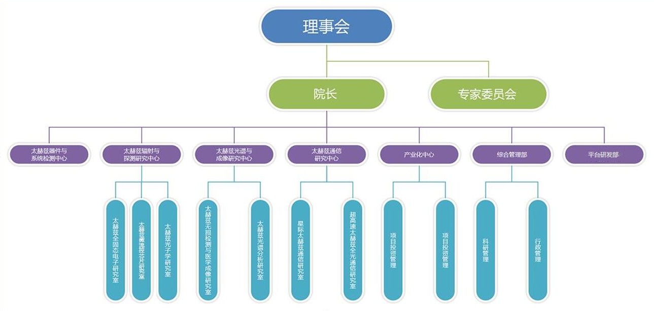 组织.jpg